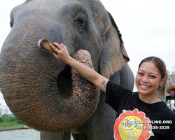 Elephant Jungle Sanctuary excursion in Pattaya Thailand - photo 829