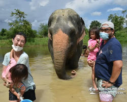 Elephant Jungle Sanctuary excursion in Pattaya Thailand - photo 848