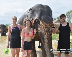 Elephant Jungle Sanctuary excursion in Pattaya Thailand - photo 785