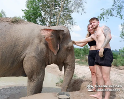 Elephant Jungle Sanctuary excursion in Pattaya Thailand - photo 271