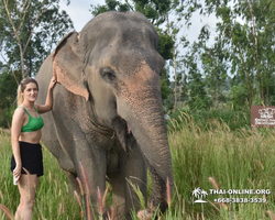 Elephant Jungle Sanctuary excursion in Pattaya Thailand - photo 103