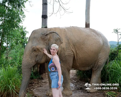 Elephant Jungle Sanctuary excursion in Pattaya Thailand - photo 201