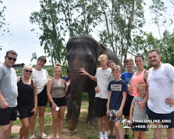 Elephant Jungle Sanctuary excursion in Pattaya Thailand - photo 72