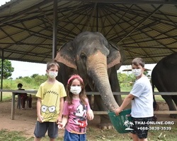 Elephant Jungle Sanctuary excursion in Pattaya Thailand - photo 627