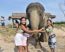 Elephant Jungle Sanctuary excursion in Pattaya Thailand - photo 510