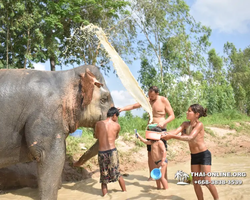Elephant Jungle Sanctuary excursion in Pattaya Thailand - photo 105