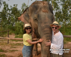 Elephant Jungle Sanctuary excursion in Pattaya Thailand - photo 213