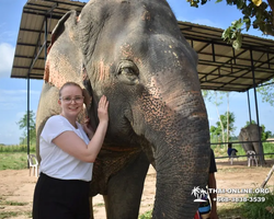 Elephant Jungle Sanctuary excursion in Pattaya Thailand - photo 392