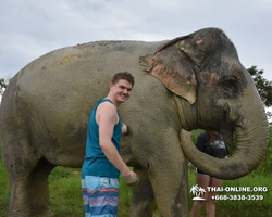 Elephant Jungle Sanctuary excursion in Pattaya Thailand - photo 990