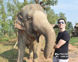 Elephant Jungle Sanctuary excursion in Pattaya Thailand - photo 120