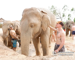 Elephant Jungle Sanctuary excursion in Pattaya Thailand - photo 527