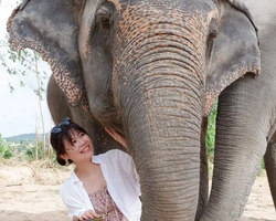 Elephant Jungle Sanctuary excursion in Pattaya Thailand - photo 169