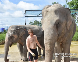 Elephant Jungle Sanctuary excursion in Pattaya Thailand - photo 560