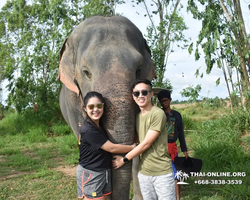 Elephant Jungle Sanctuary excursion in Pattaya Thailand - photo 22