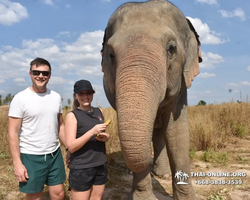 Elephant Jungle Sanctuary excursion in Pattaya Thailand - photo 495