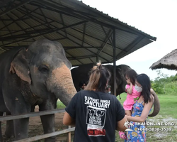 Elephant Jungle Sanctuary excursion in Pattaya Thailand - photo 977