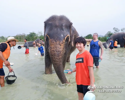 Elephant Jungle Sanctuary excursion in Pattaya Thailand - photo 1030