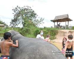 Elephant Jungle Sanctuary excursion in Pattaya Thailand - photo 618