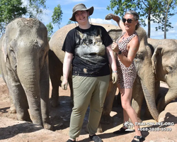 Elephant Jungle Sanctuary excursion in Pattaya Thailand - photo 82