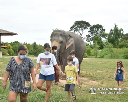 Elephant Jungle Sanctuary excursion in Pattaya Thailand - photo 638