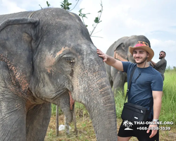 Elephant Jungle Sanctuary excursion in Pattaya Thailand - photo 694