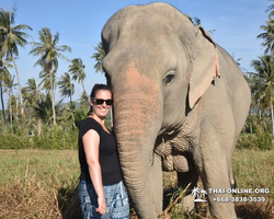 Elephant Jungle Sanctuary excursion in Pattaya Thailand - photo 184