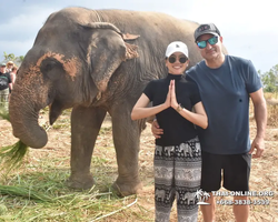 Elephant Jungle Sanctuary excursion in Pattaya Thailand - photo 318