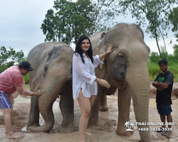 Elephant Jungle Sanctuary excursion in Pattaya Thailand - photo 385