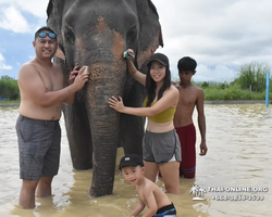 Elephant Jungle Sanctuary excursion in Pattaya Thailand - photo 1025