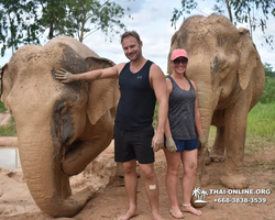 Elephant Jungle Sanctuary excursion in Pattaya Thailand - photo 519