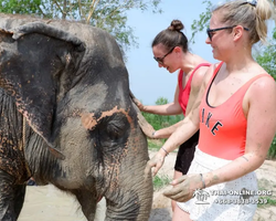 Elephant Jungle Sanctuary excursion in Pattaya Thailand - photo 427