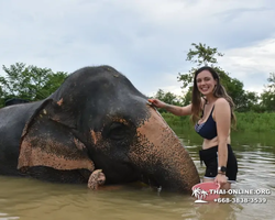 Elephant Jungle Sanctuary excursion in Pattaya Thailand - photo 1047