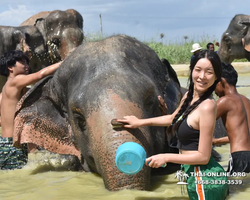 Elephant Jungle Sanctuary excursion in Pattaya Thailand - photo 523