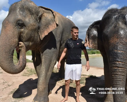 Elephant Jungle Sanctuary excursion in Pattaya Thailand - photo 294