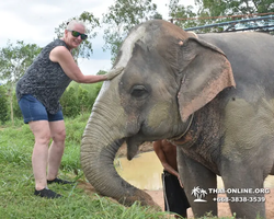 Elephant Jungle Sanctuary excursion in Pattaya Thailand - photo 199