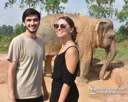 Elephant Jungle Sanctuary excursion in Pattaya Thailand - photo 534