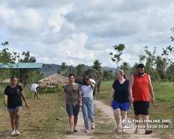 Elephant Jungle Sanctuary excursion in Pattaya Thailand - photo 693