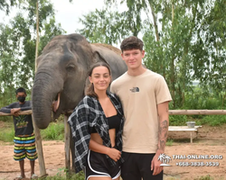 Elephant Jungle Sanctuary excursion in Pattaya Thailand - photo 339