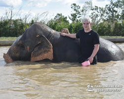 Elephant Jungle Sanctuary excursion in Pattaya Thailand - photo 473