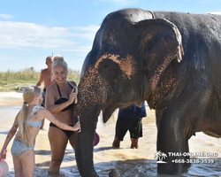 Elephant Jungle Sanctuary excursion in Pattaya Thailand - photo 713