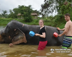 Elephant Jungle Sanctuary excursion in Pattaya Thailand - photo 735