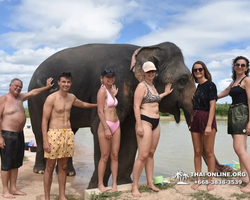 Elephant Jungle Sanctuary excursion in Pattaya Thailand - photo 893