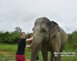 Elephant Jungle Sanctuary excursion in Pattaya Thailand - photo 1112