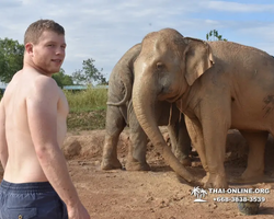 Elephant Jungle Sanctuary excursion in Pattaya Thailand - photo 798