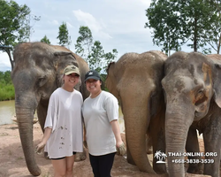 Elephant Jungle Sanctuary excursion in Pattaya Thailand - photo 486