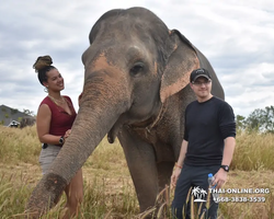 Elephant Jungle Sanctuary excursion in Pattaya Thailand - photo 775