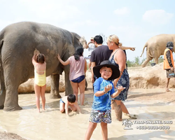 Elephant Jungle Sanctuary excursion in Pattaya Thailand - photo 849