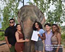 Elephant Jungle Sanctuary excursion in Pattaya Thailand - photo 227