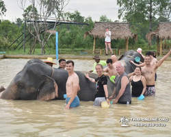 Elephant Jungle Sanctuary excursion in Pattaya Thailand - photo 378