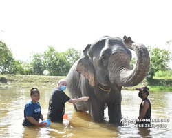 Elephant Jungle Sanctuary excursion in Pattaya Thailand - photo 814